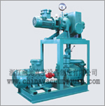 JZJS Series Roots pump and liquid ring pump system