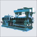 2BE series liquid ring vacuum pump