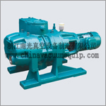 Roots vacuum pump series