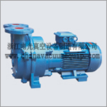 2BV(SKA) series liquid ring type vacuum pump